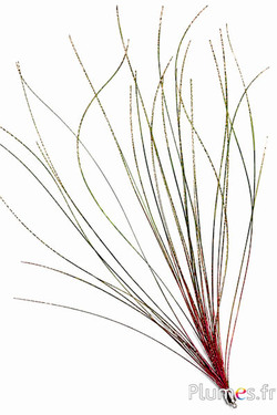 Ciondolo in filo di pavone - 15-28 cm - carminio-verde naturale